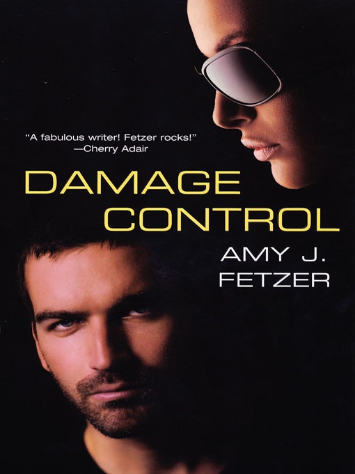 Title details for Damage Control by Amy J. Fetzer - Available